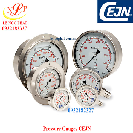 Pressure Gauges 150mm CEJN