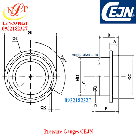 Pressure Gauges 100mm CEJN
