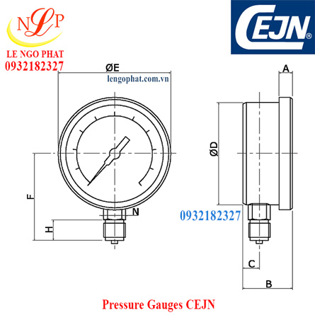 Pressure Gauges 150mm CEJN