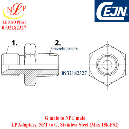 LP Adapters, NPT to G, Stainless Steel