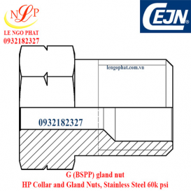 G (BSPP) gland nut HP Collar and Gland Nuts, Stainless Steel 60k psi