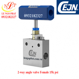 2-way angle valve Female 3/8" NPT to female 3/8" NPT 15k psi