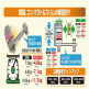 Super Power Wrench (with Torque Wrench ) PAT
