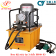 Bơm điện thủy lực 2 chiều DB300-D2