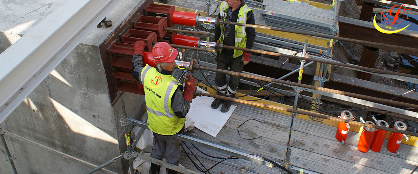 CÔNG TY TNHH LÊ NGÔ PHÁT